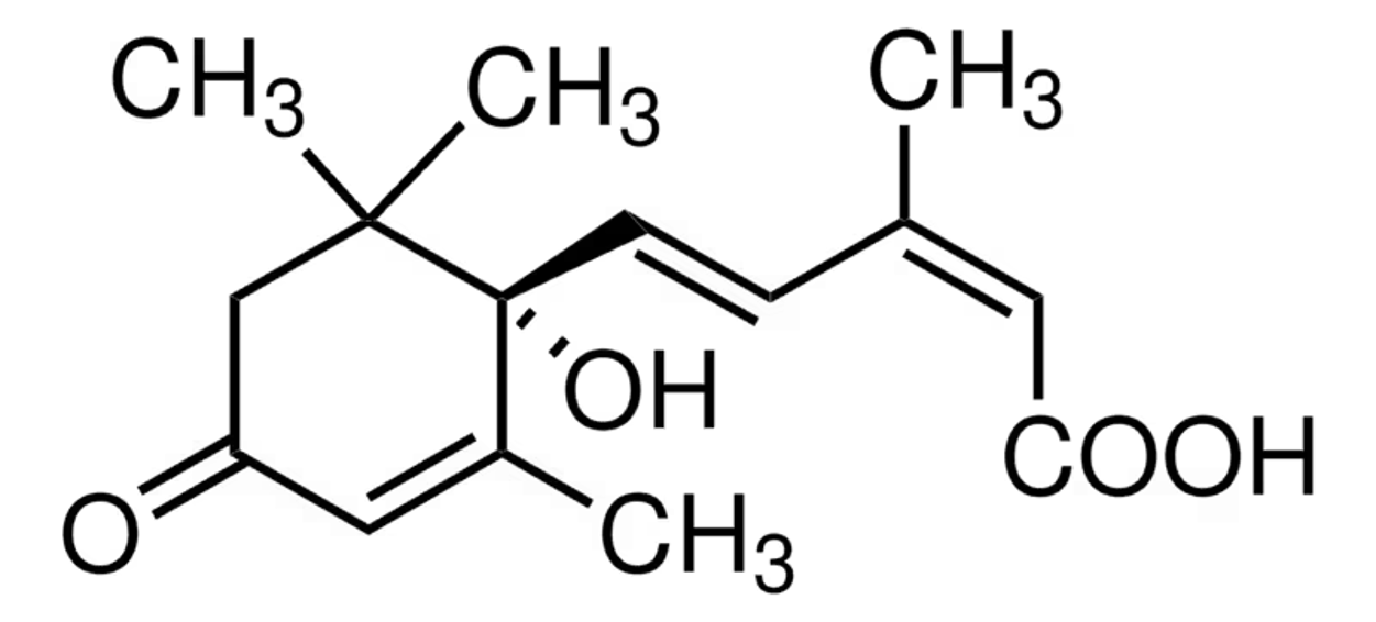 (+)-Abscisic acid (+)-Abscisic acid