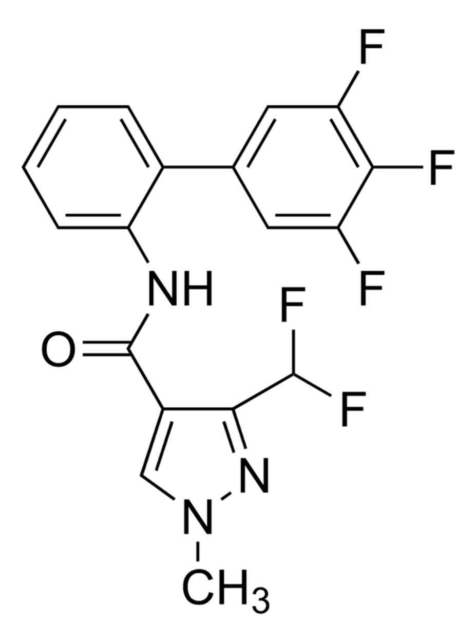 Fluxapyroxad Fluxapyroxad