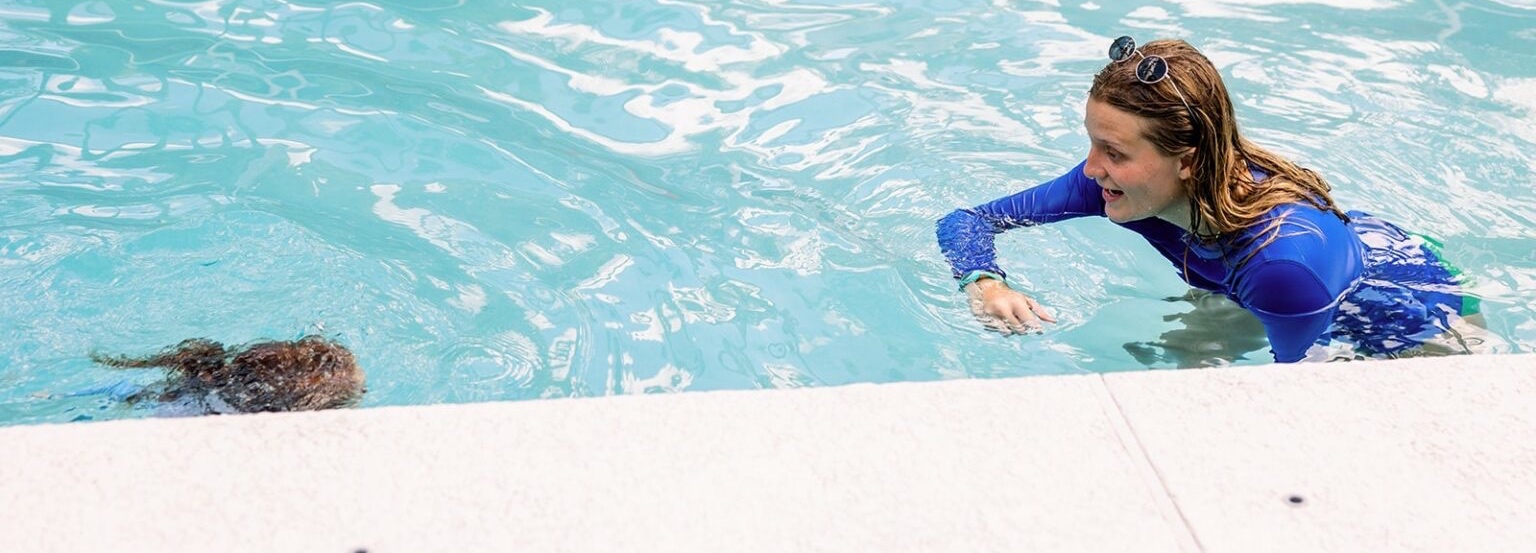 Audswimmers profile banner