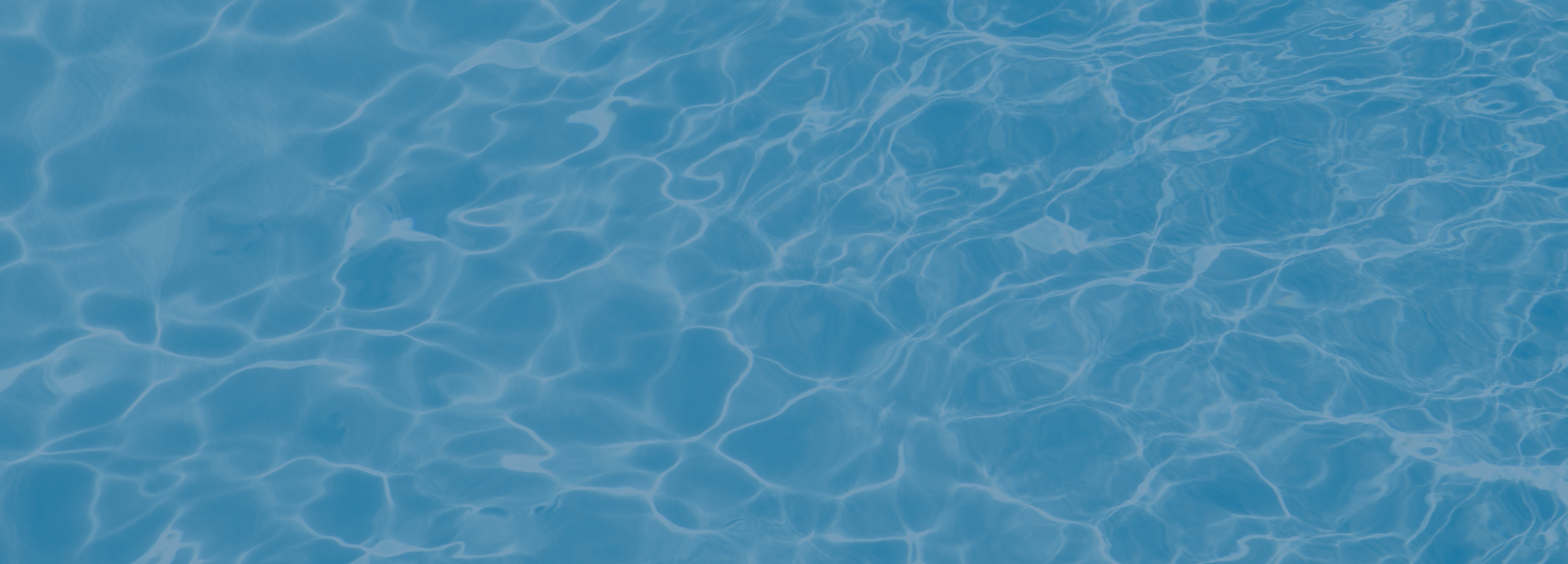 Julissa Marquez profile banner