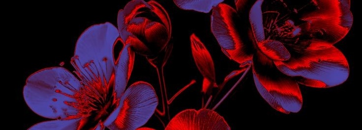 Samantha Aguilar profile banner