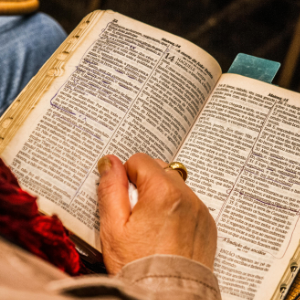 Bible Study