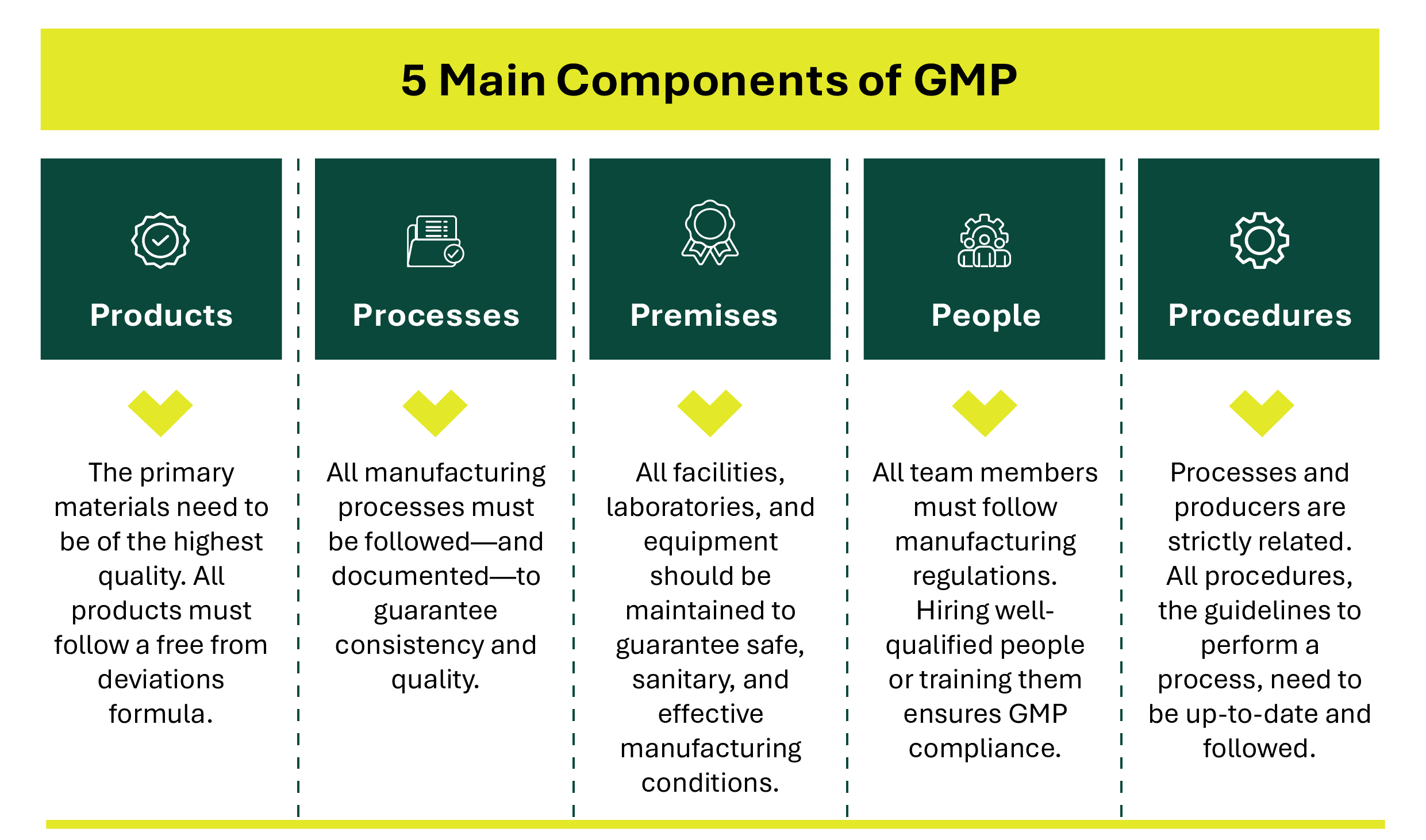 5 main Components of GMP
