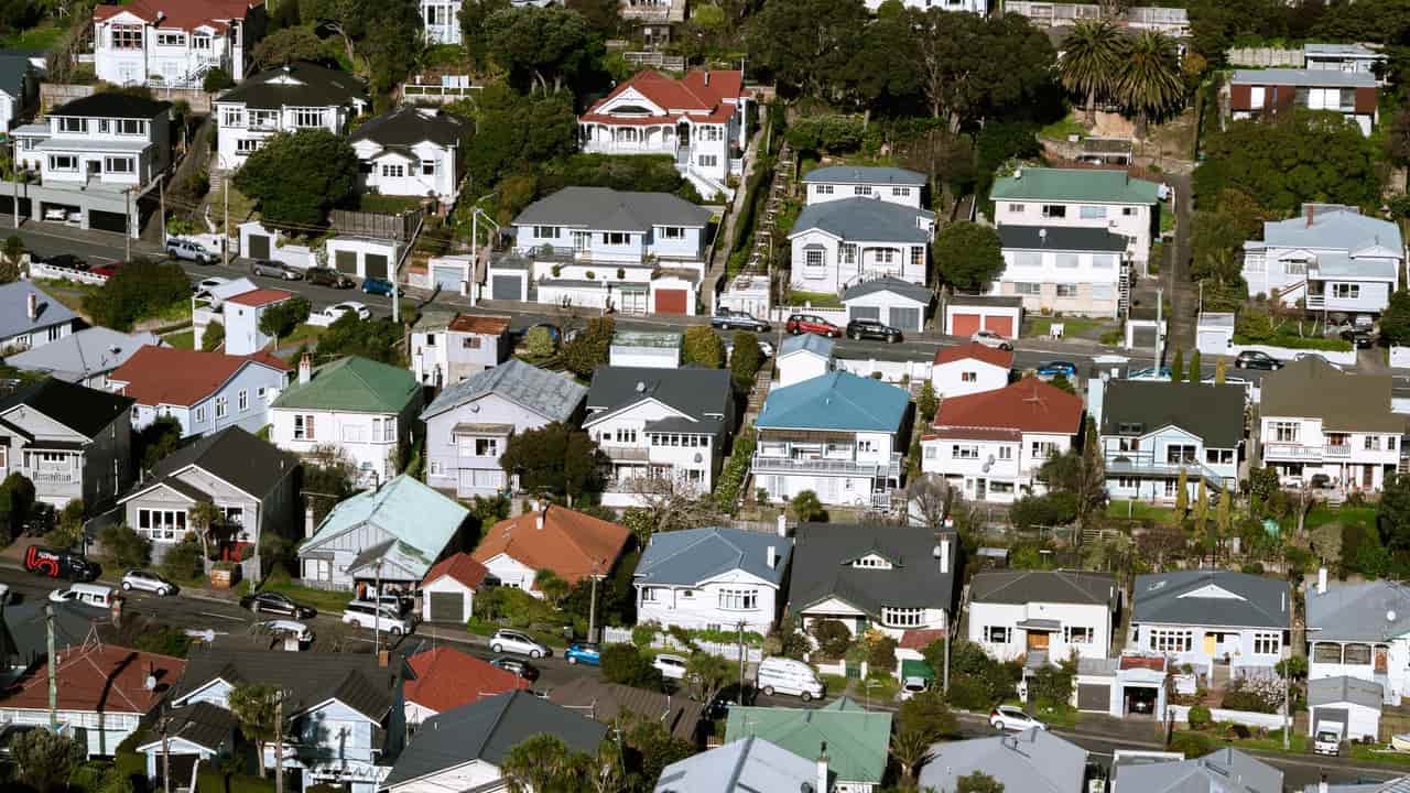 Aerial view showcasing vibrant suburban housing in Wellington, New Zealand.