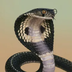 Portrait illustration of Nagaina from The Jungle Book
