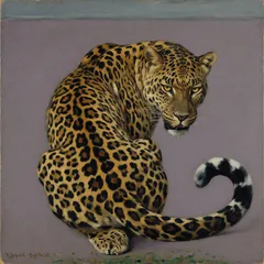 Portrait illustration of The Leopard from Just So Stories
