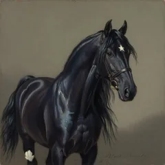 Portrait illustration of Black Beauty from Black Beauty