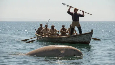 A harpooner poised in the bow of a boat approaching a large dugong on a calm sea.