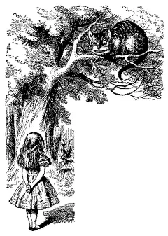 Portrait illustration of The Cheshire Cat from Alice's Adventures in Wonderland