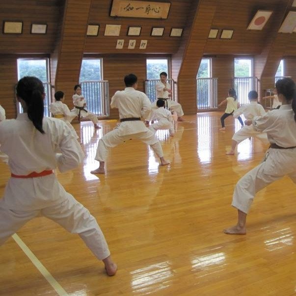 Karate 6/6