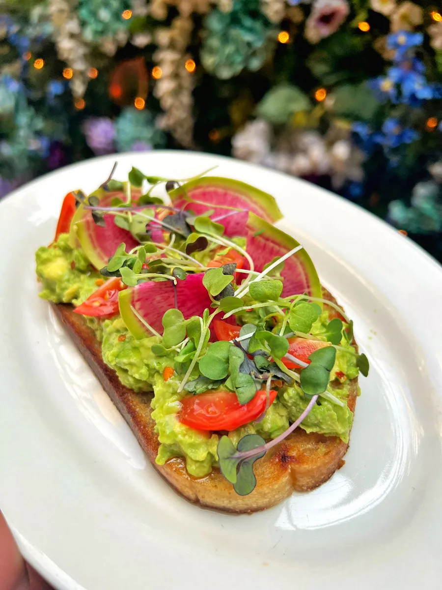 Amazing Avocado Toast in the East Village at Loreley Beer Garden