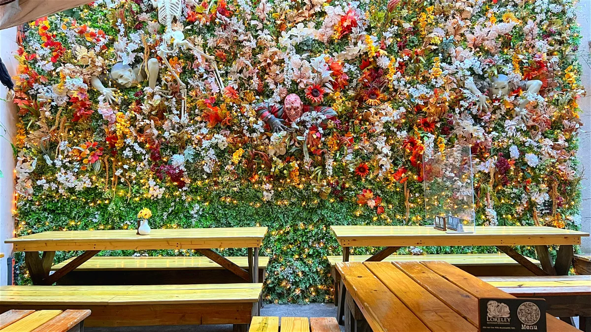 FALL