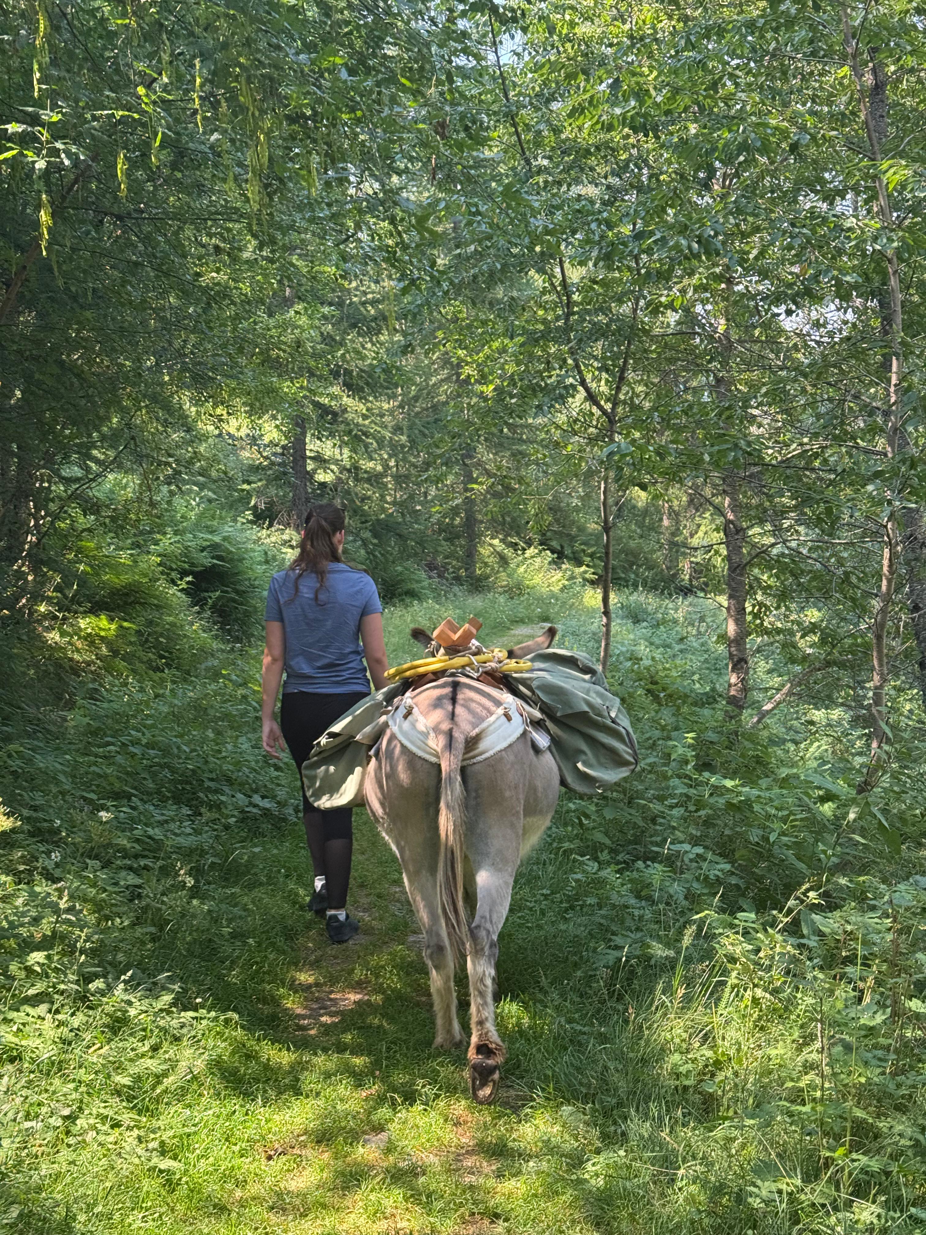Photo of La découverte du Mercantour sur mesure