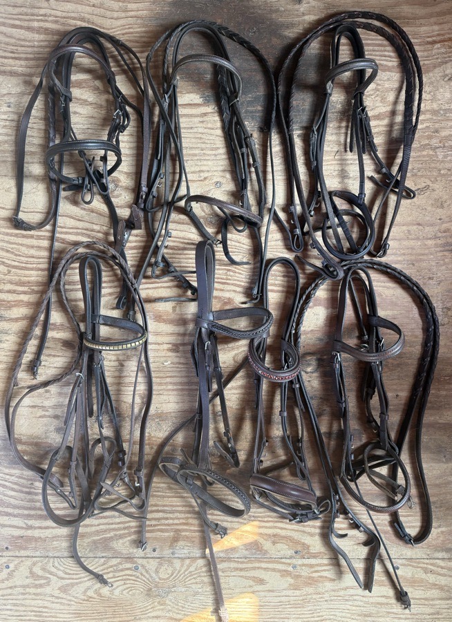 lot of pony and cob bridles