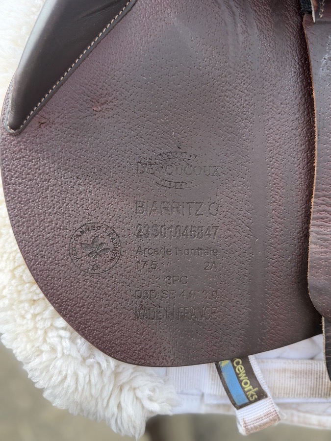 DEVOUCOUX Biarritz O | 17.5" | 5" Tree Size | 2023