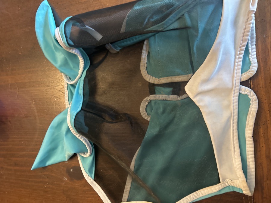Teal cob/horse fly mask