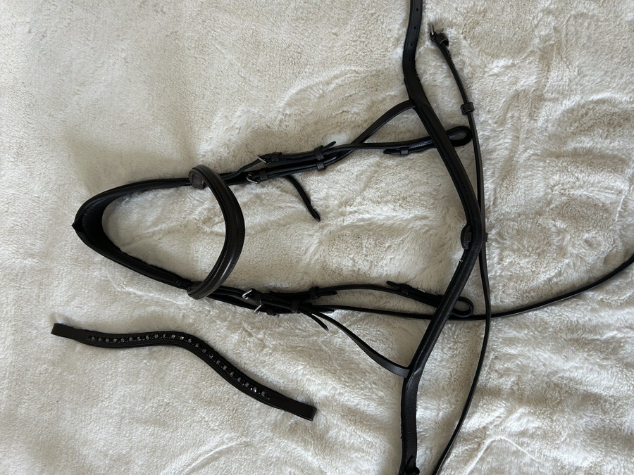 Eponia Bridle and Browband 