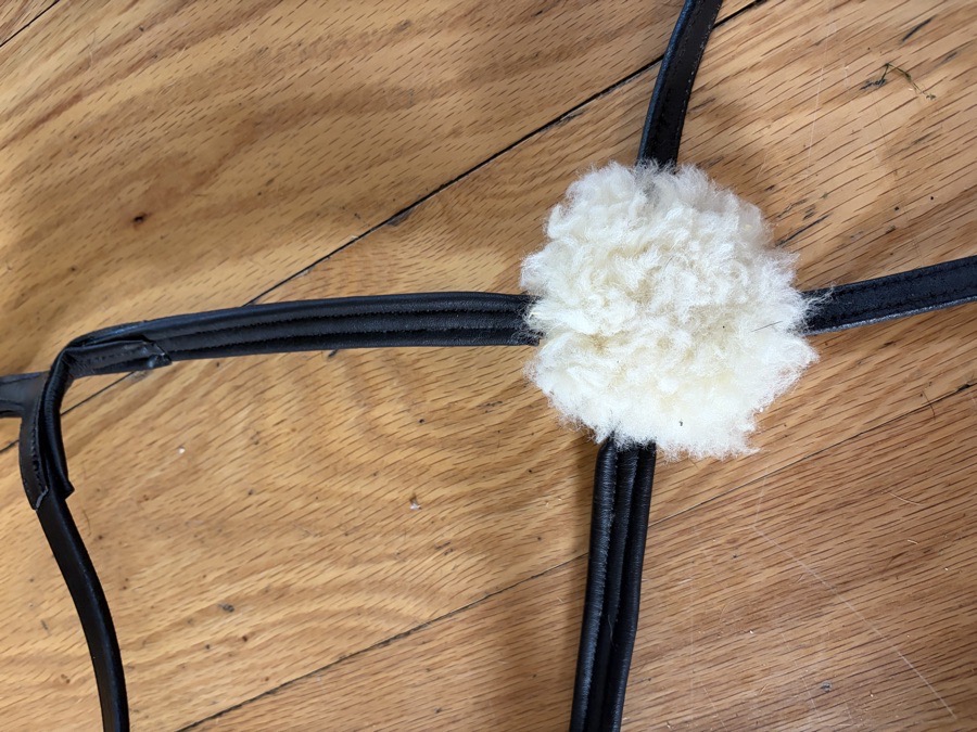 HORZE Bridle & Co