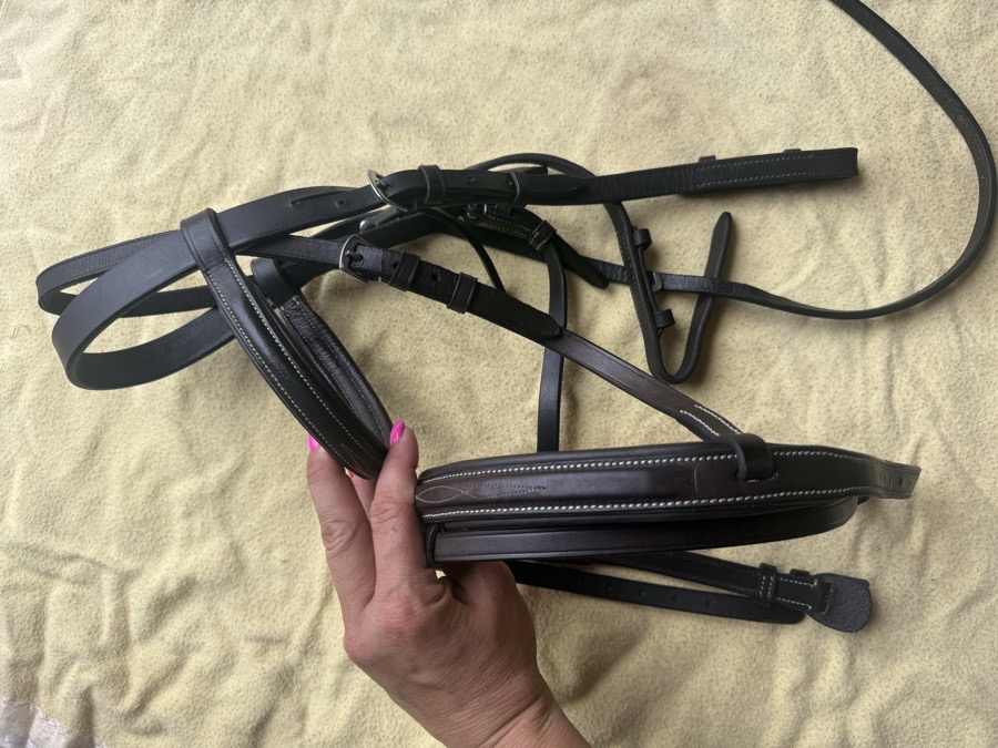 cob sized fancy stitch flash bridle