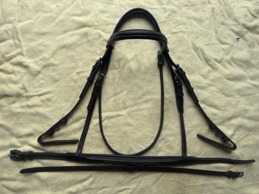 cob sized fancy stitch flash bridle