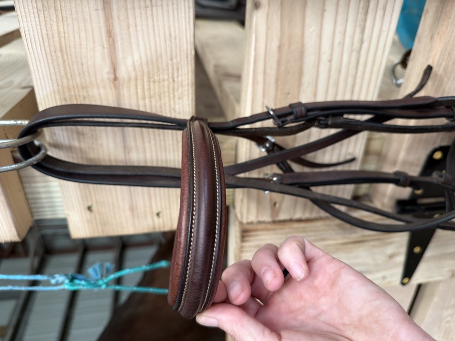 Jumper Bridle