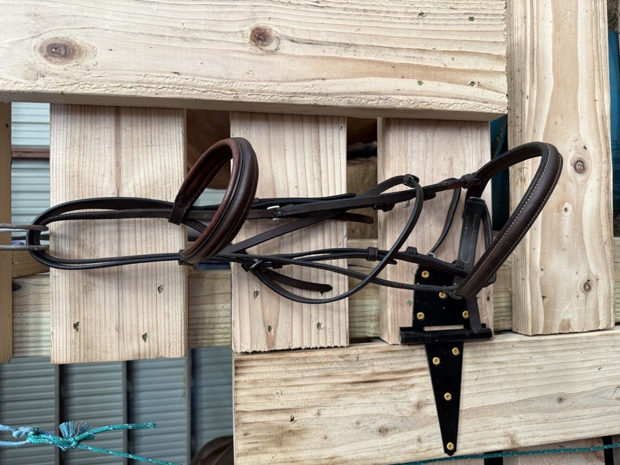 Jumper Bridle