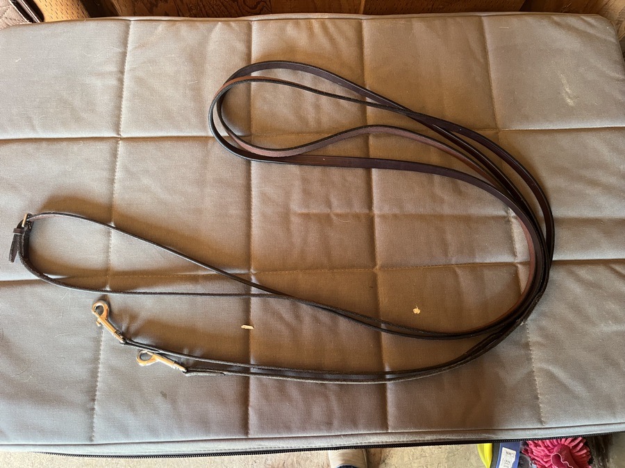 Tory Leather Draw Reins 