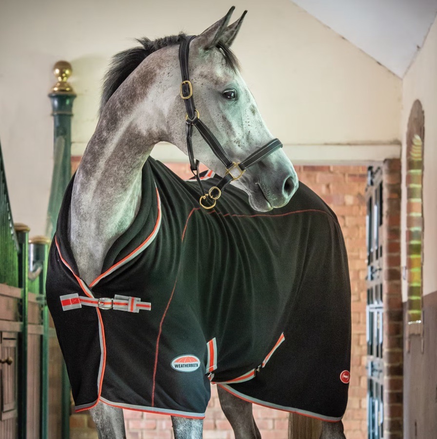 Weatherbeeta TherapyTech Fleece Rug