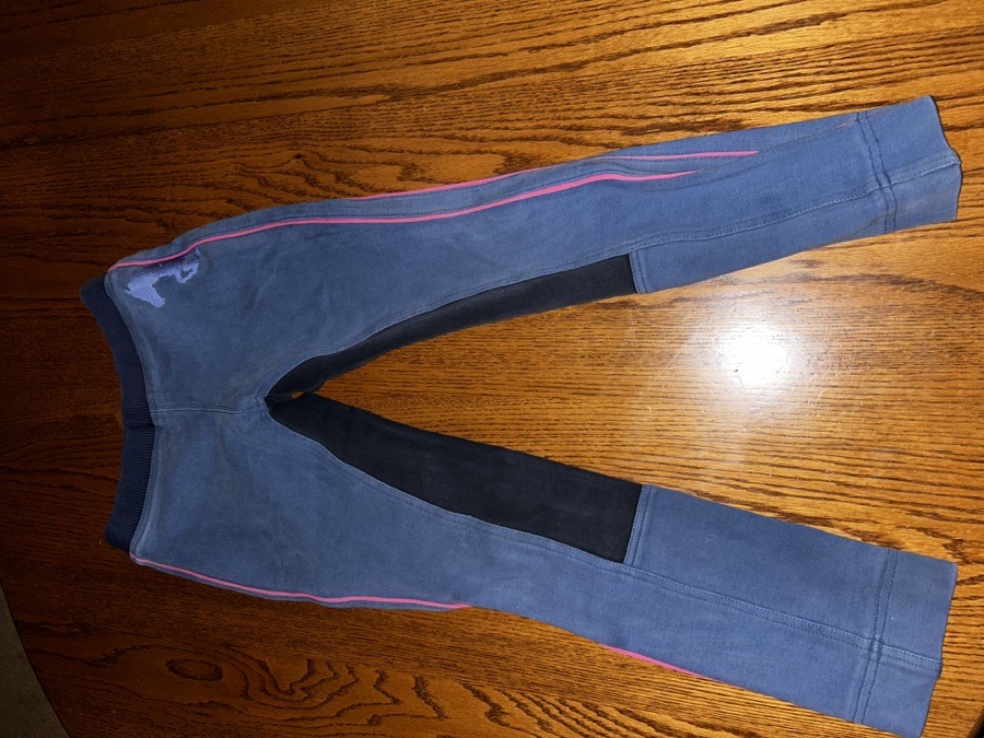 Kids Horse Power breaches 