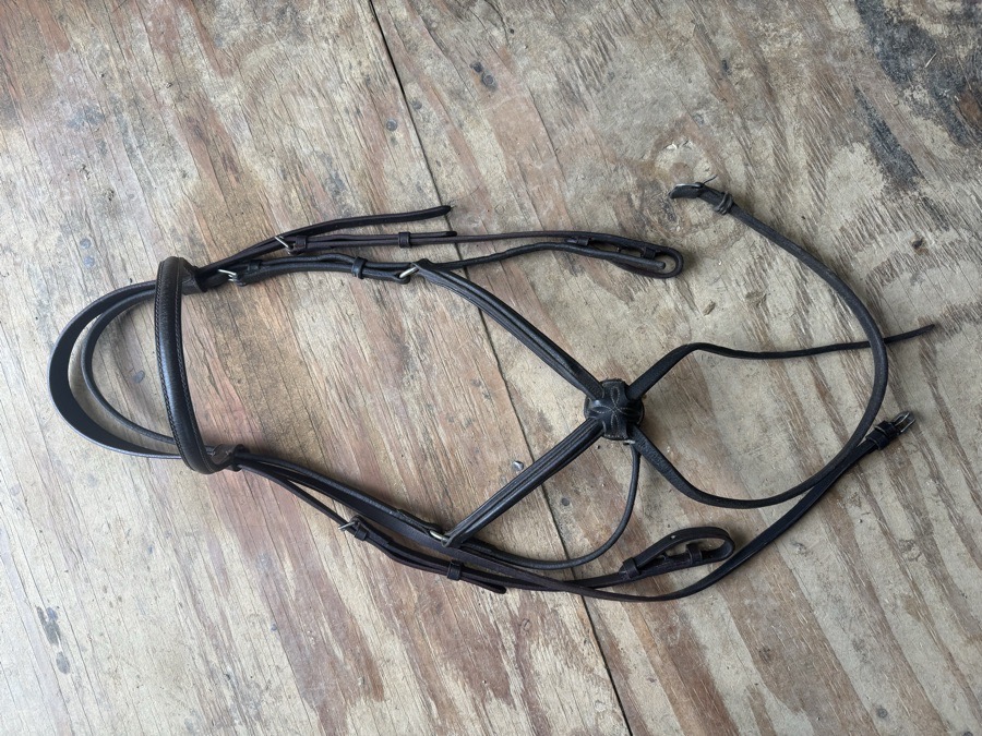 Oversized figure 8 bridle