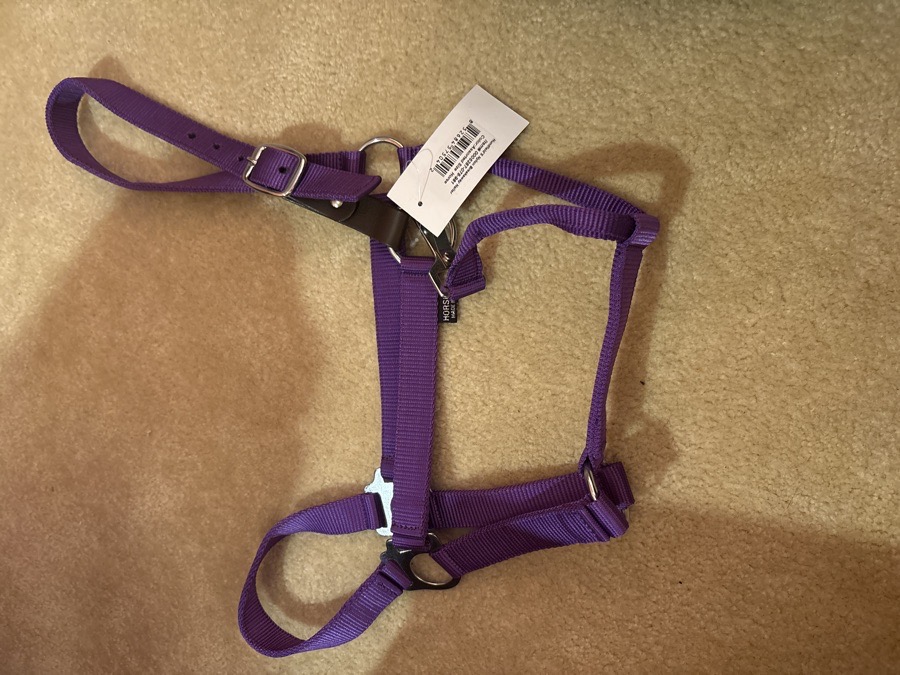 Dover Saddlery Nylon Breakaway Halter