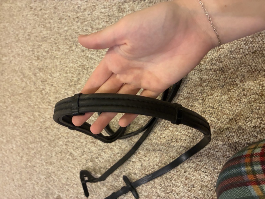 THINLINE Reins Horse