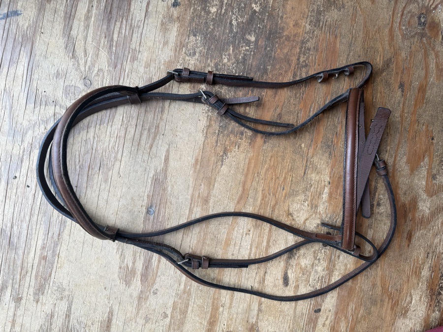 oversized snaffle bridle