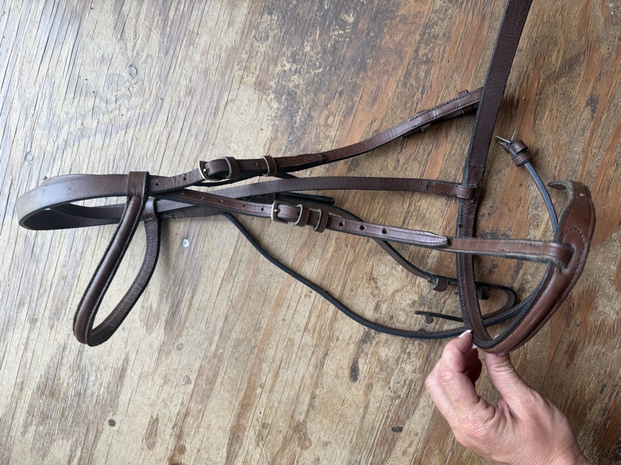 oversized snaffle bridle