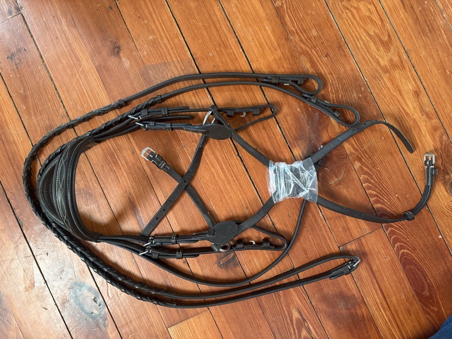 Dover pony figure 8 bridle 