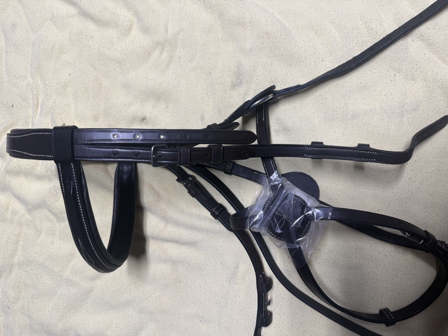 Dover pony figure 8 bridle