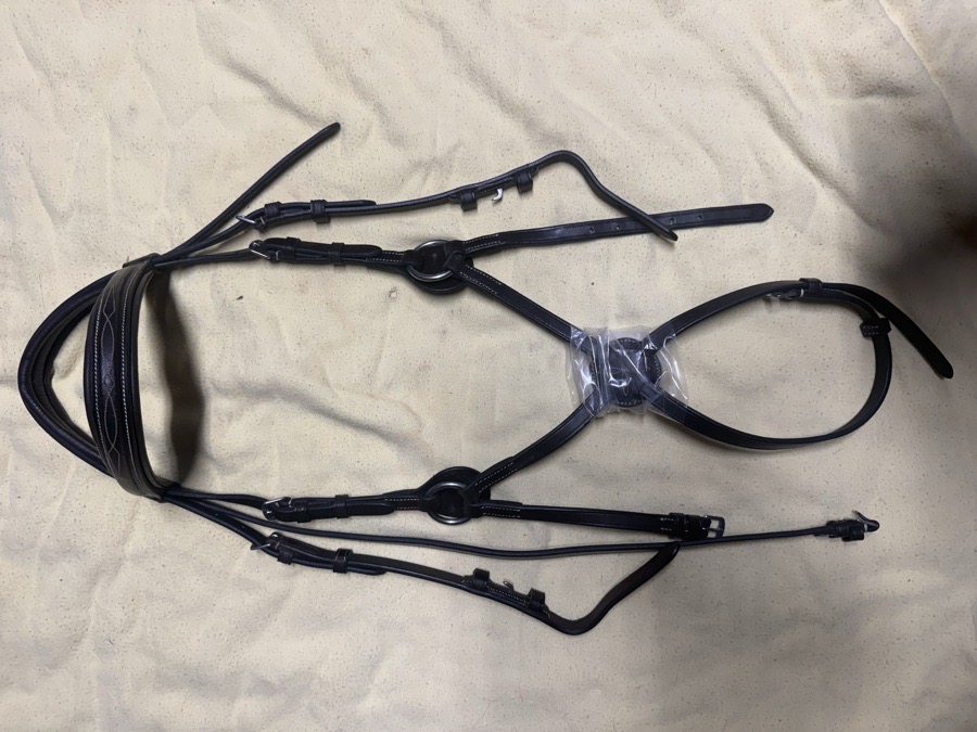Dover pony figure 8 bridle