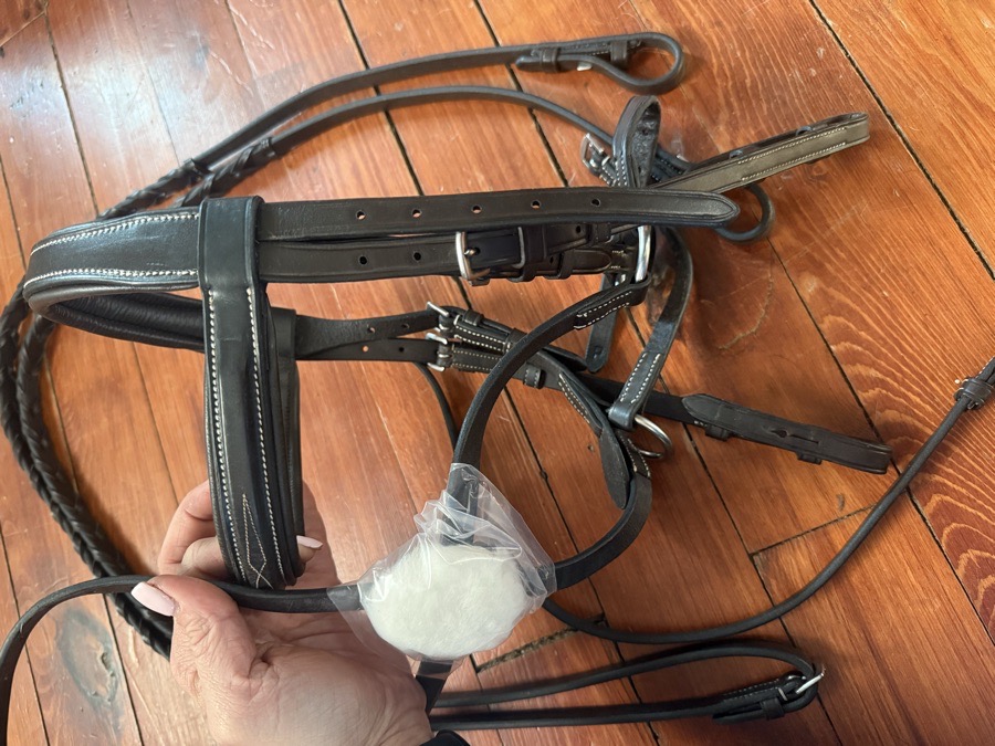 Dover pony figure 8 bridle 