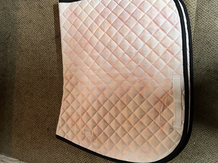 Centaur white saddle pad