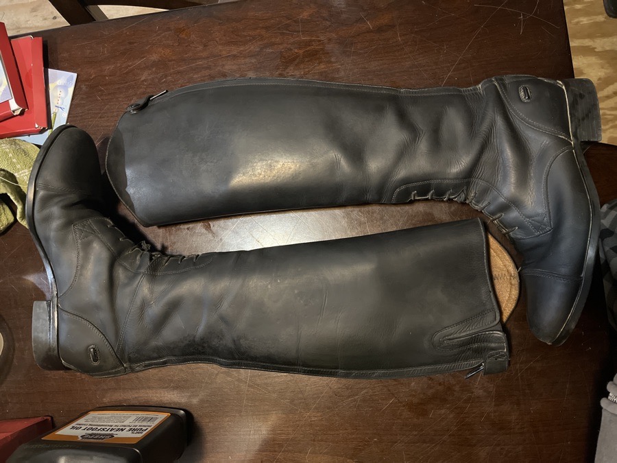 Ariat Women’s Tall Riding Boot