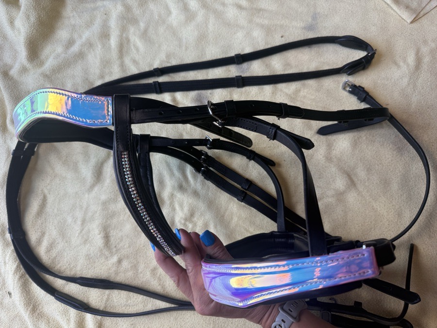 full sized holographic bridle
