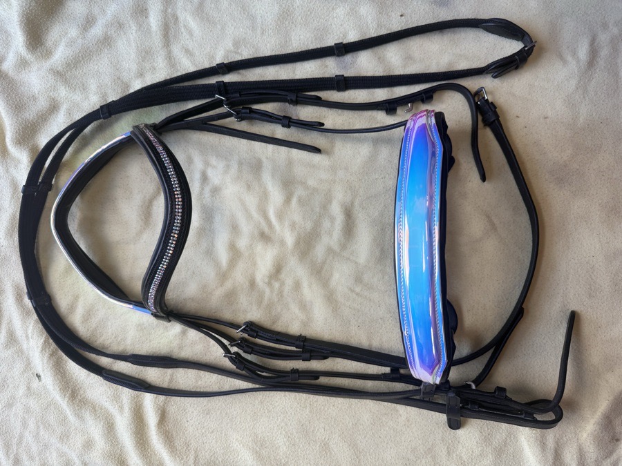 full sized holographic bridle