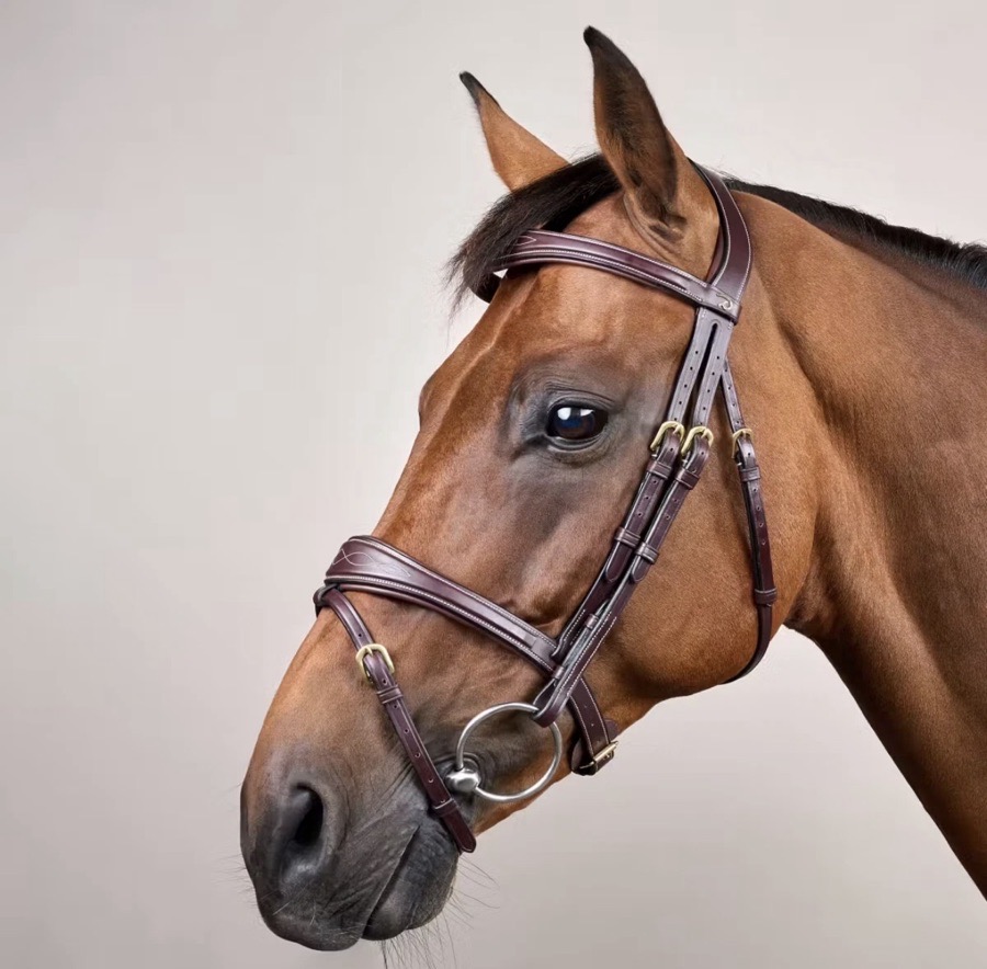 DY'ON FLASH NOSEBAND BRIDLE BROWN GOLD COB