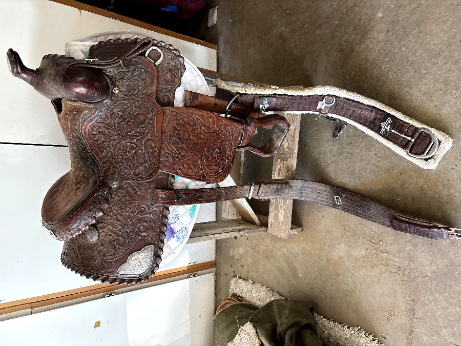 Kid's Billy Cook Saddle 14.5"