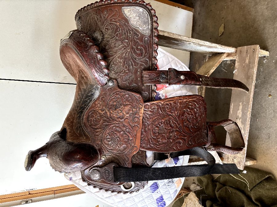 Kid's Billy Cook Saddle 14.5"