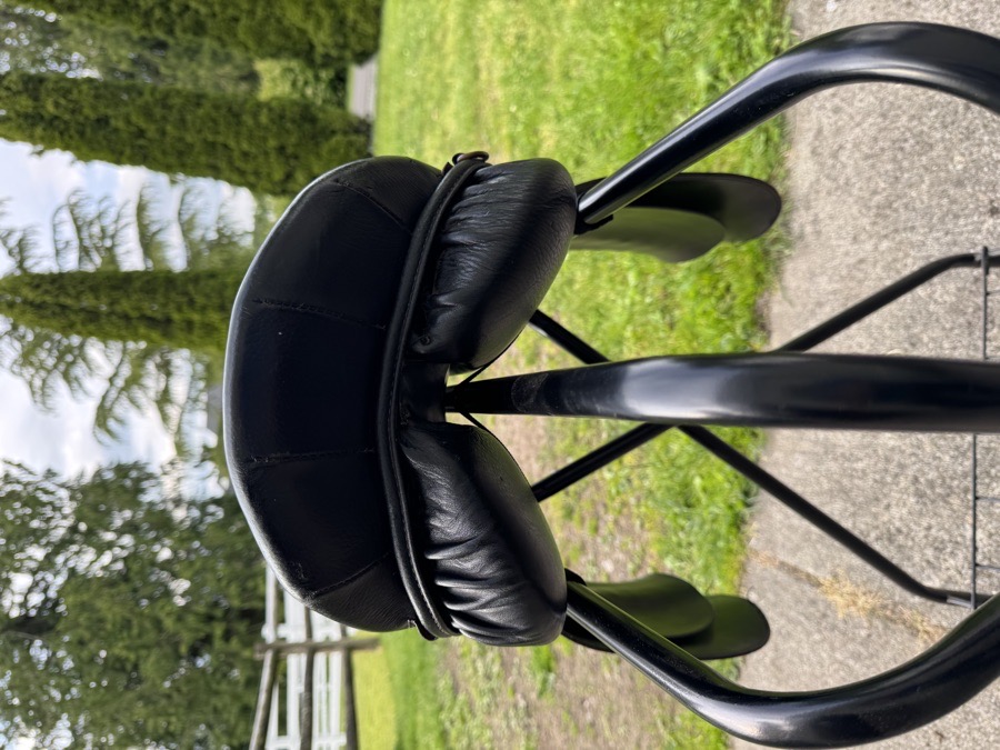 Collegiate AP Saddle 17”
