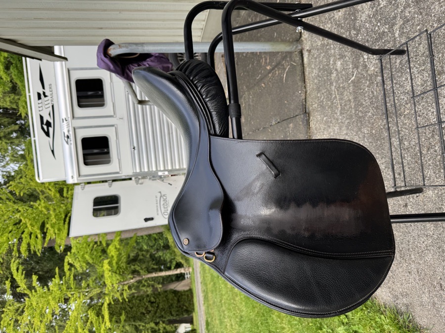 Collegiate AP Saddle 17”
