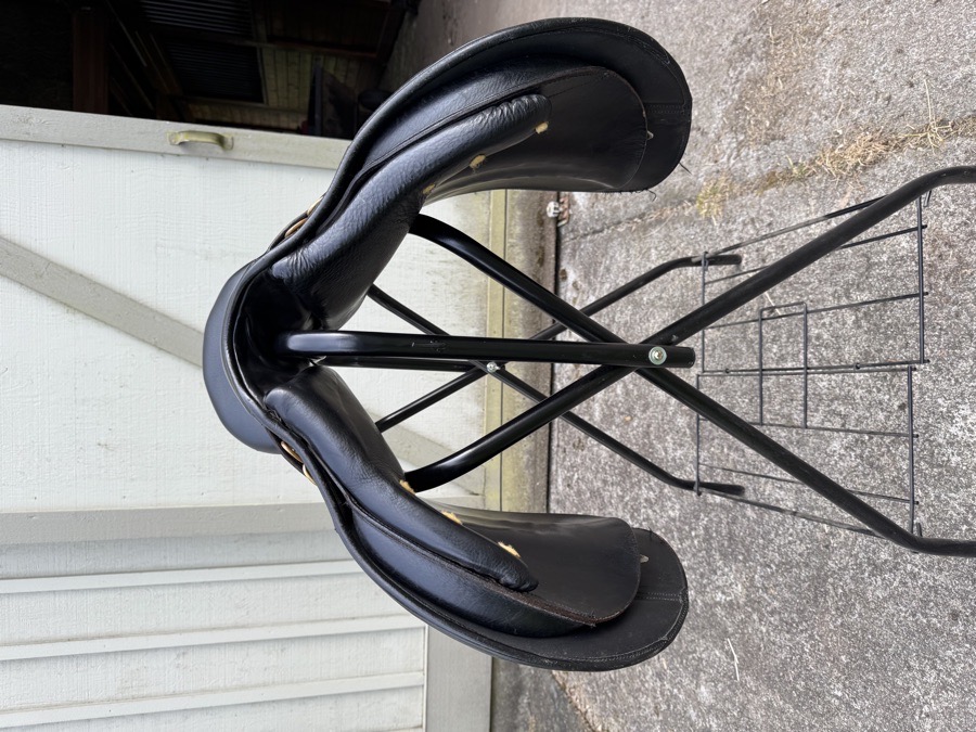 Collegiate AP Saddle 17”