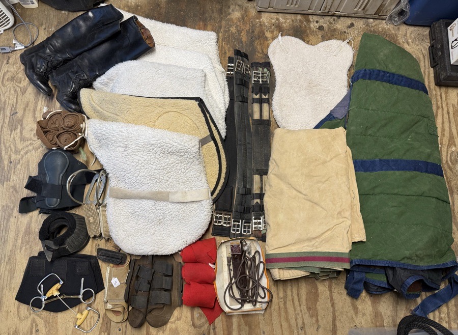 lot of horse items