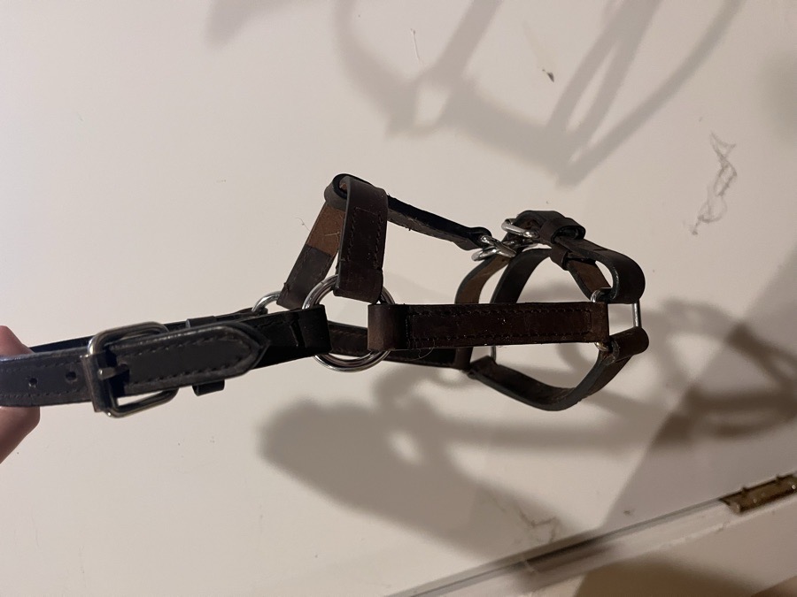 WEAVER LEATHER Halter/Rope Shetland